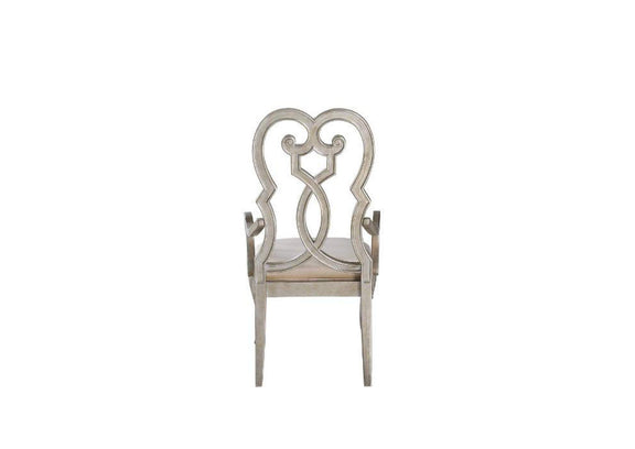 62203 Esteban Arm Chair - Set of 2