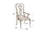 62203 Esteban Arm Chair - Set of 2