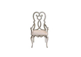 62203 Esteban Arm Chair - Set of 2