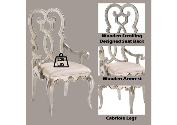 62203 Esteban Arm Chair - Set of 2