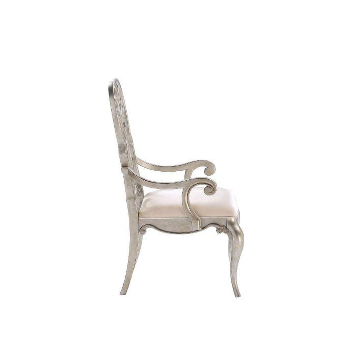 62203 Esteban Arm Chair - Set of 2