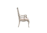 62203 Esteban Arm Chair - Set of 2