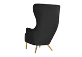 TOV-IHS44150 Julia Black Velvet Wingback Chair
