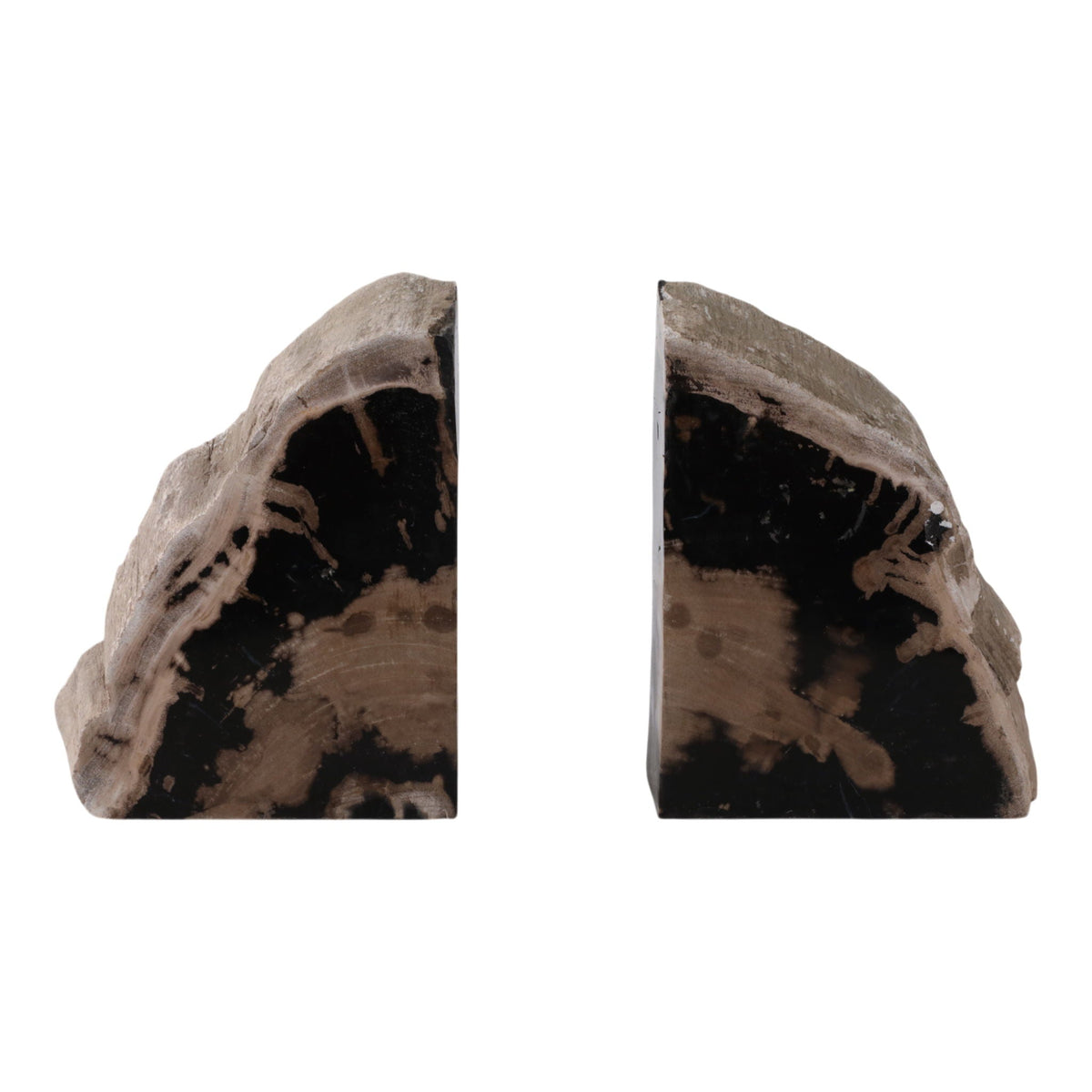 7" Petrified Wood Bookends (Set of 2) - Black / Tan