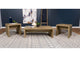 704128-S3 Lynette 3-piece Rectangular Coffee and End Table Set Mango