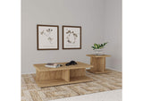 706178-S2 Cortona 2-piece Coffee and End Table Set Mango