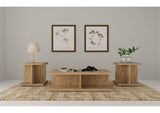 706178-S3 Cortona 3-piece Coffee and End Table Set Mango