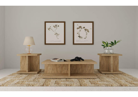 706178-S3 Cortona 3-piece Coffee and End Table Set Mango