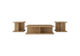 706178-S3 Cortona 3-piece Coffee and End Table Set Mango