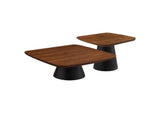 710010 Eason 2-piece Coffee Table Set Walnut and Black