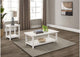 710558-S2A Payne 2-piece Coffee and End Table Set Distressed White
