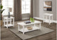 710558-S3A Payne 3-piece Coffee and End Table Set Distressed White