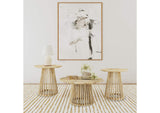 710608-S3 Touhy 3-piece Round Coffee and End Table Set Natural Mango