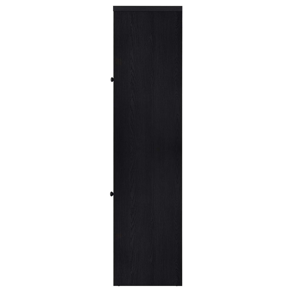 720224 Denison 67-inch 2-door Media Tower Storage Cabinet Black