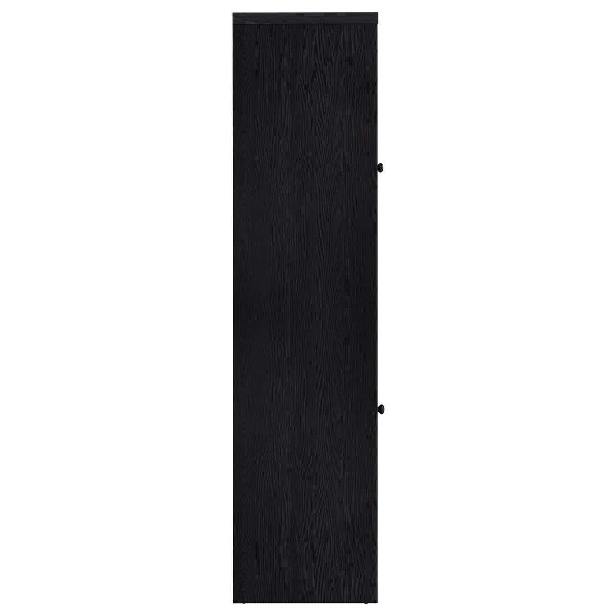 720224 Denison 67-inch 2-door Media Tower Storage Cabinet Black