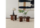 721998-S2 Dale 2-piece Solid Wood Coffee and End Table Set Brown