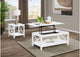 722088-S2 Skyview 2-piece Rectangular Lift Top Coffee Table Set White