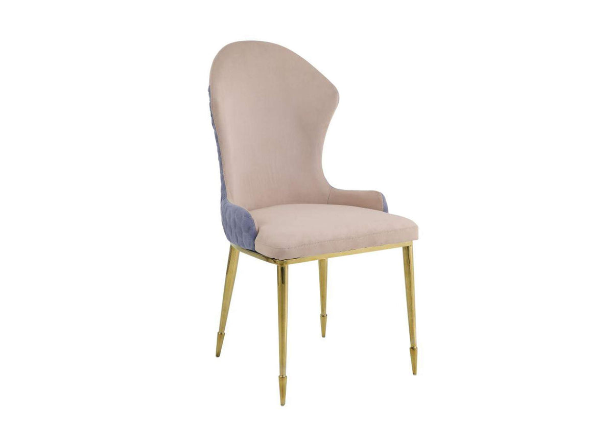 72469 Caolan Side Chair - Set of 2