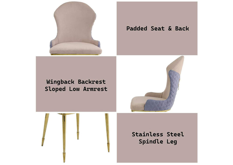 72469 Caolan Side Chair - Set of 2