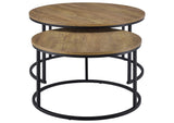 736030 Lainey 2-piece Round Nesting Coffee Table Mango