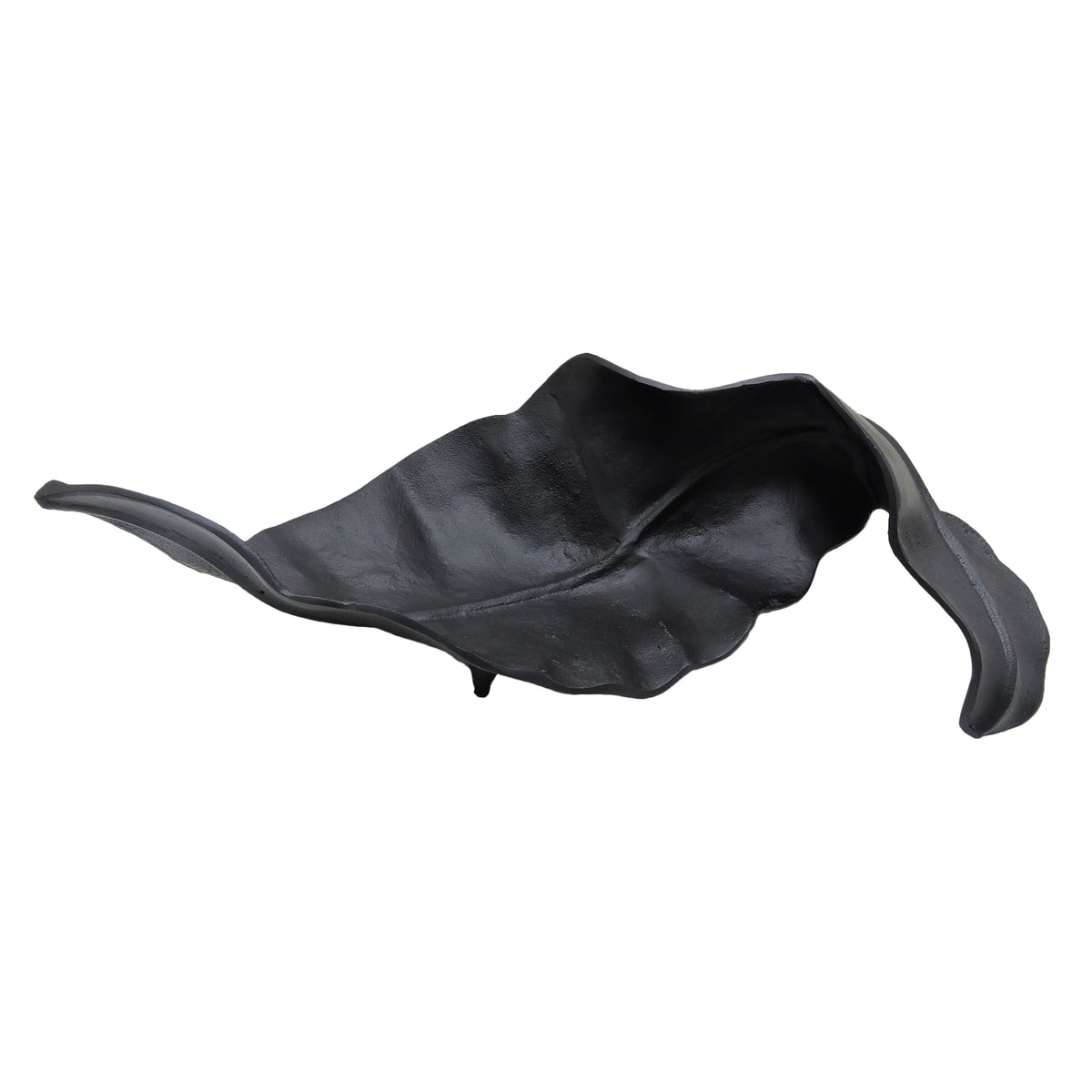 Curled Leaf - Black