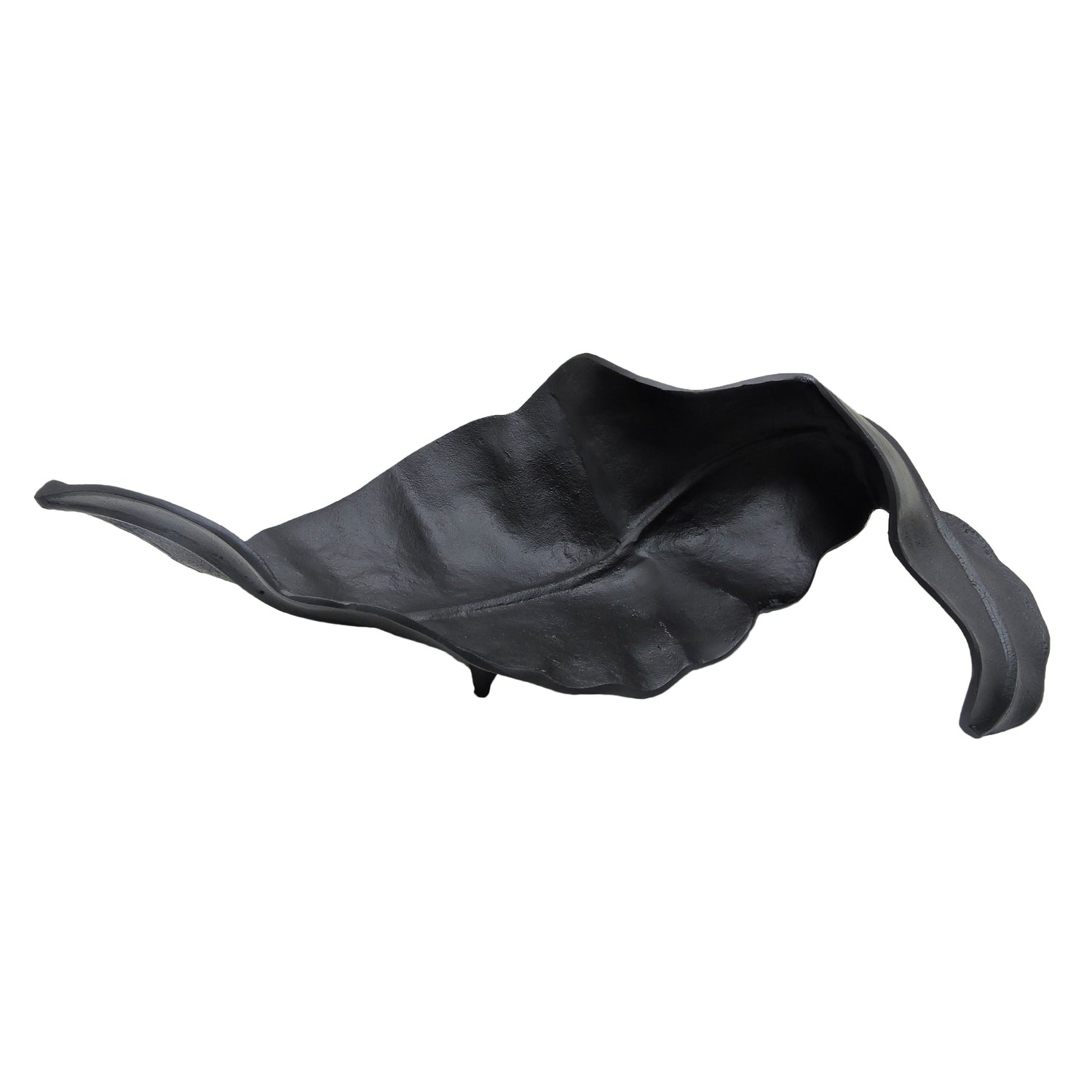 Curled Leaf - Black