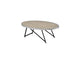 81730 Allis Coffee Table
