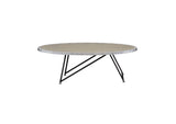81730 Allis Coffee Table