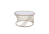 82990 Bluelipe Coffee Table