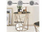 83302 Cicatrix End Table