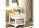 83327 Natesa End Table