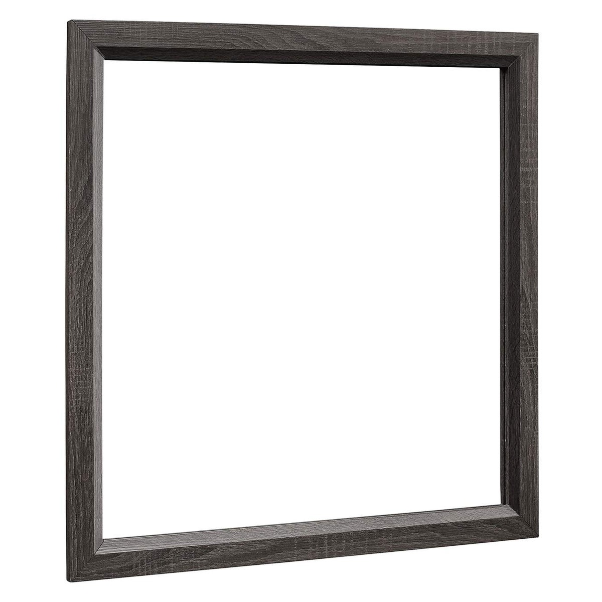 1645-6 Davi Mirror