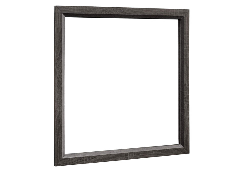 1645-6 Davi Mirror
