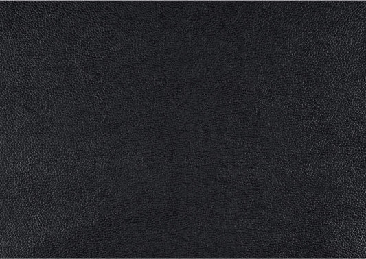 8566BLK-2 Lewes Love Seat