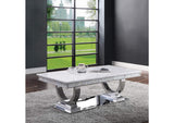 87355 Zander Coffee Table
