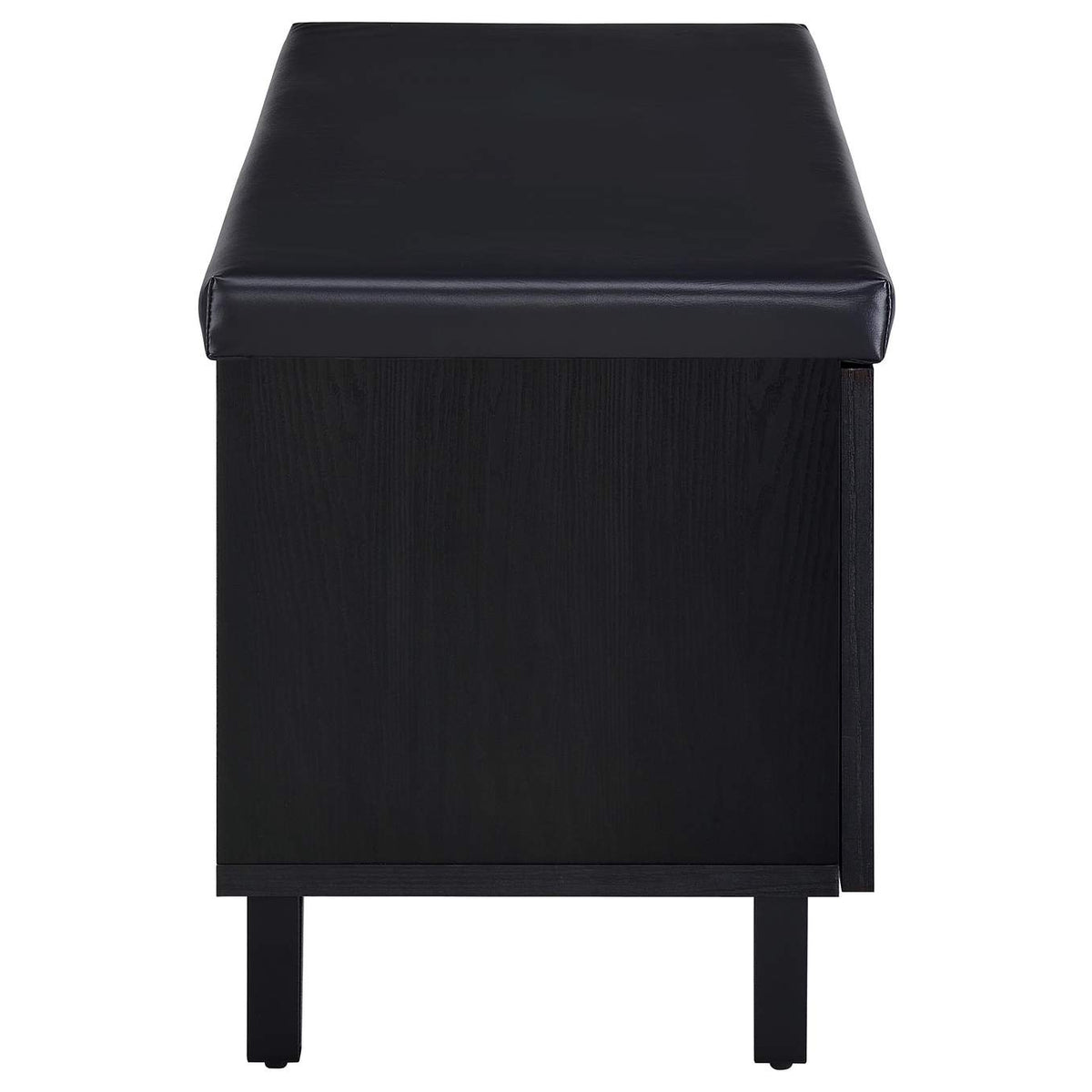 915152 Brixton 2-door Padded Entryway Shoe Storage Bench Black