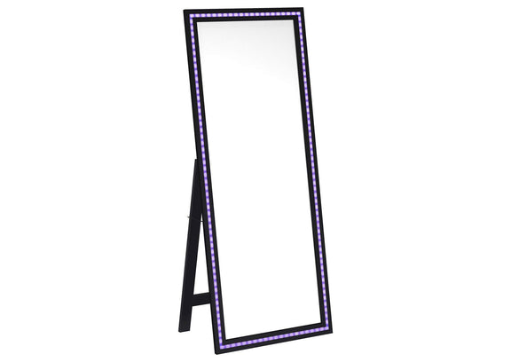 960962 Windrose 28 x 67 Inch Tempered LED Standing Mirror Black