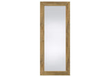 961654 Cadence Tempered Glass Full Length Standing Mirror Mango