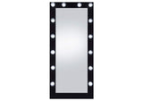 969557 Zayan 32 x 71 Inch Floor Mirror LED Lighting Black Gloss