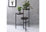 97799 Namid Plant Stand