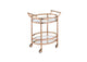 98192 Lakelyn Serving Cart