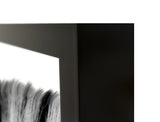Zebras - 48" x 72" Photography - Black / White