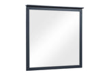 B2024BU-6 Mirror