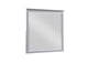 B2024GY-6 Mirror