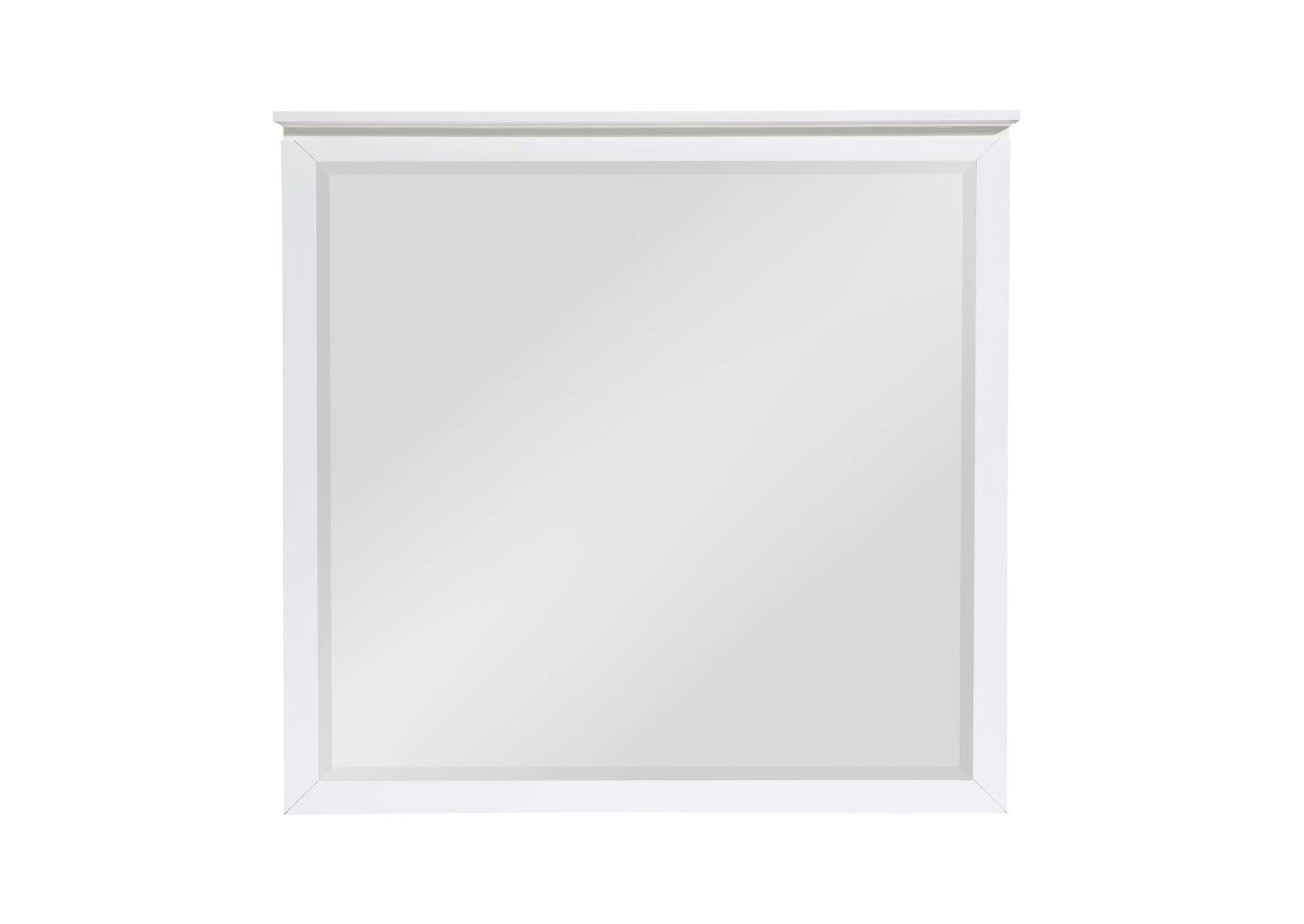 B2024WH-6 Mirror