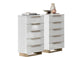 i32084 Smart White chest