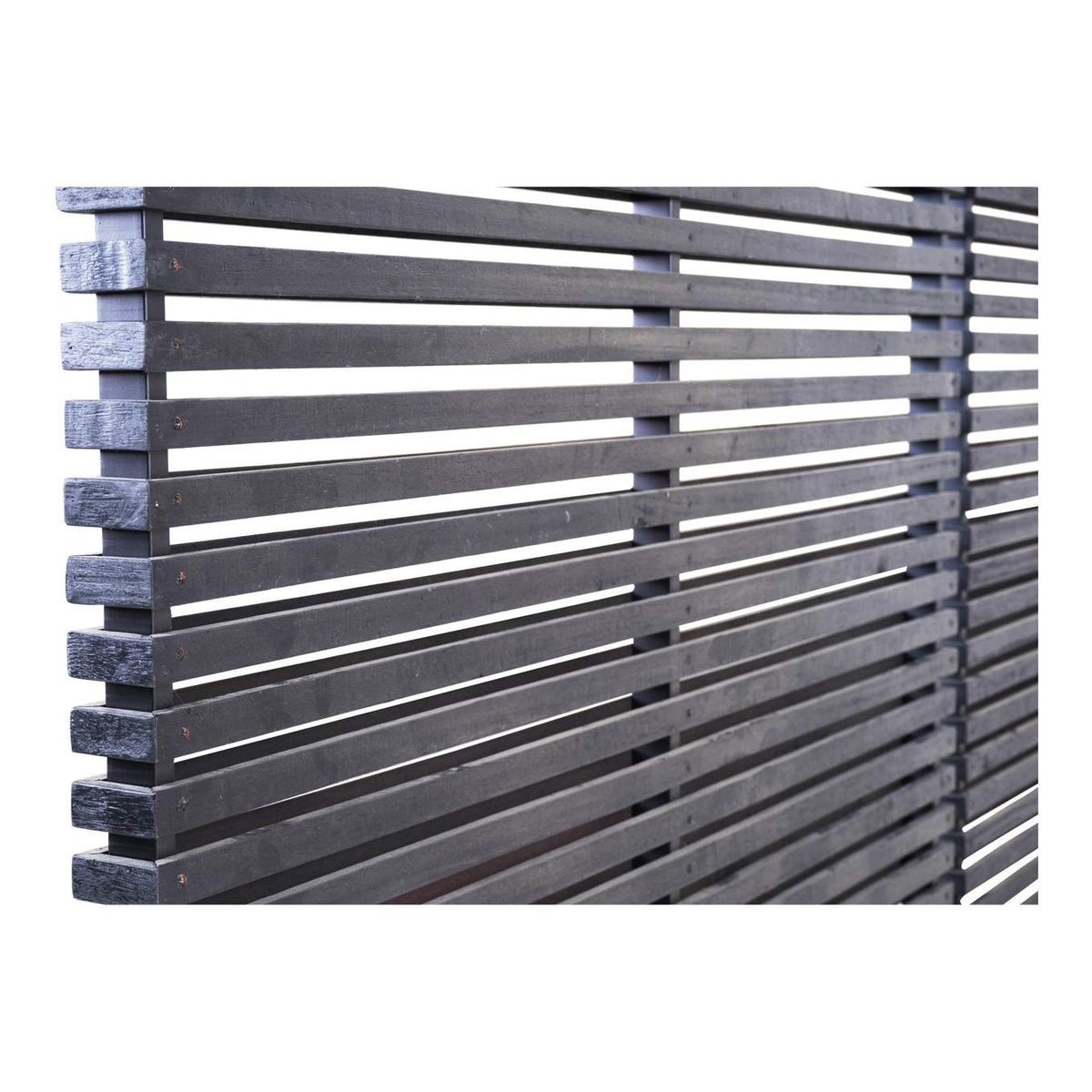 CV-1013-20 Damani Screen Black