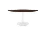 EEI-5194-WHI-CHE Lippa 60" Oval Cherry Walnut Wood Dining Table By Modway