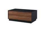 EEI-6599-BLK-WAL Holden 36" Coffee Table By Modway