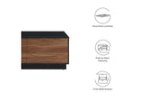 EEI-6599-BLK-WAL Holden 36" Coffee Table By Modway